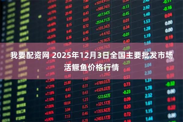 我要配资网 2025年12月3日全国主要批发市场活鳜鱼价格行情