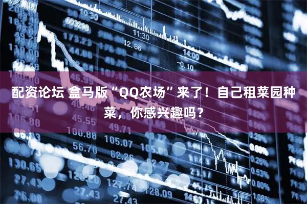 配资论坛 盒马版“QQ农场”来了！自己租菜园种菜，你感兴趣吗？